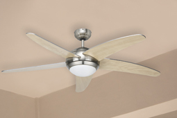 ceiling fans with lights
